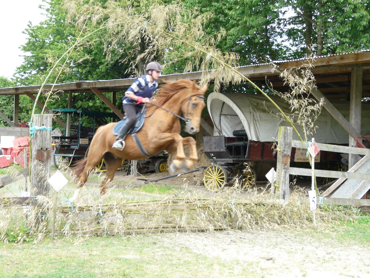 julien-sur-celimen-copier