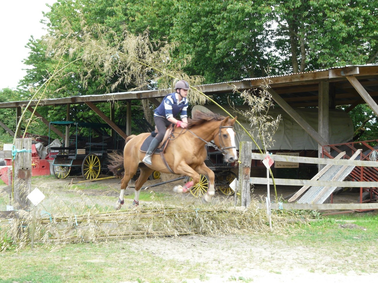 julien-sur-olympe-copier