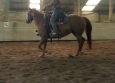 Equitation Western en Basse Normandie aux Ecuries de la Gare