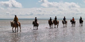 Balade à cheval près des plages du débarquement