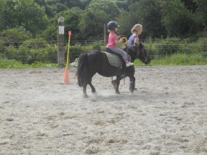 Stagede poney shetland dans le Cotentin