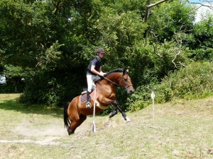 Stages d'équitation aux Ecuries de la Gare en Normandie