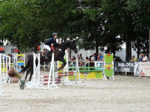 Edith Fautras sur Mohaul des Jaulies au Championnat de France de sauts d'obstacles 2015 à Lamotte Beuvron 