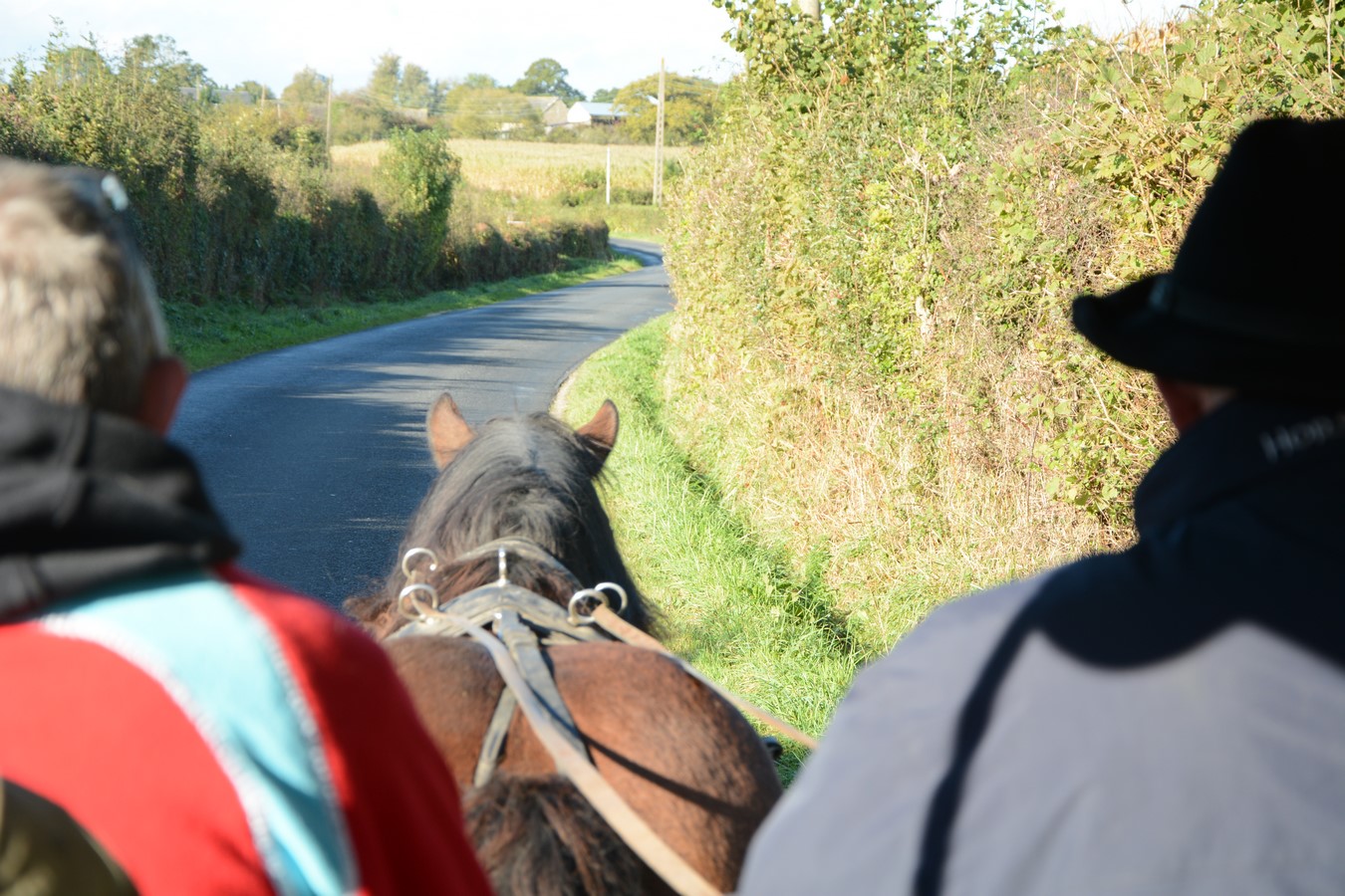 Vacances Equitation Western Freedom Ranch aux Ecuries de la Gare Normandie