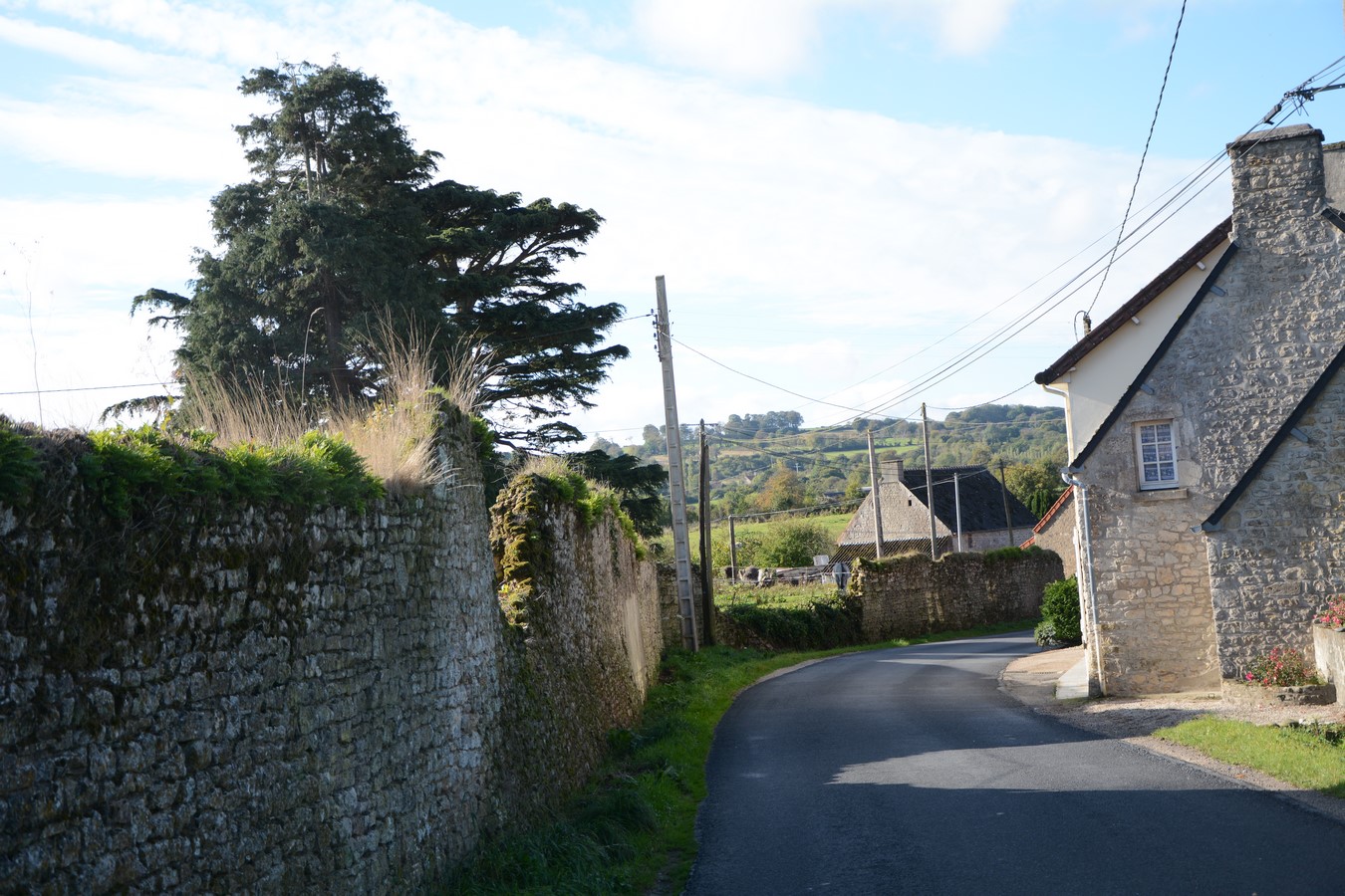 Vacances Equitation Western aux Ecuries de la Gare Normandie