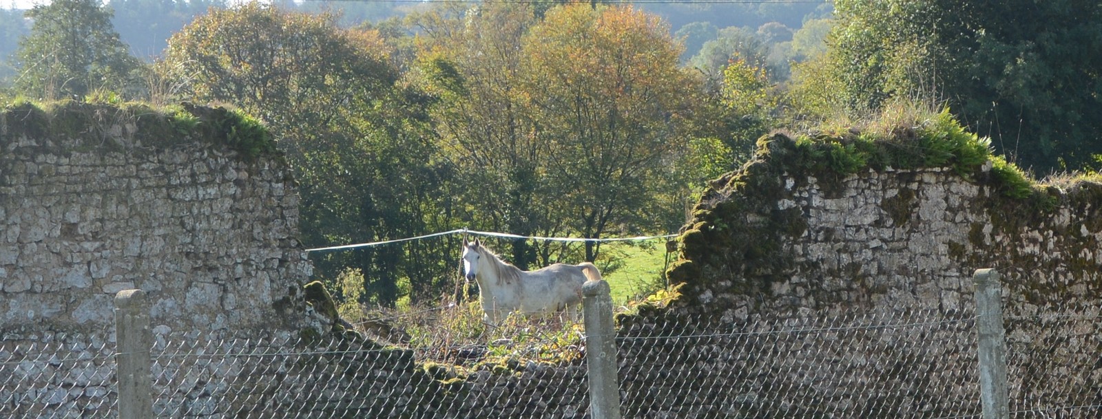 Vacances Equitation Western Freedom Ranch aux Ecuries de la Gare Normandie