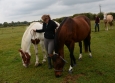 Vacances Equitation Western Freedom Ranch aux Ecuries de la Gare Normandie