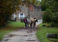 Vacances Equitation Western Freedom Ranch aux Ecuries de la Gare Normandie