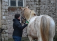 Vacances Equitation Western Freedom Ranch aux Ecuries de la Gare Normandie