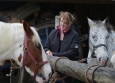 Vacances Equitation Western Freedom Ranch aux Ecuries de la Gare Normandie