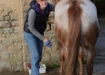 Vacances Equitation Western Freedom Ranch aux Ecuries de la Gare Normandie