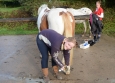 Vacances Equitation Western Freedom Ranch aux Ecuries de la Gare Normandie