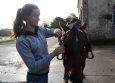 Vacances Equitation Western Freedom Ranch aux Ecuries de la Gare Normandie