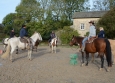 Cutting avec Hank Moss  Freedom Ranch aux Ecuries de la Gare Normandie