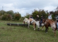 Cutting avec Hank Moss  Freedom Ranch aux Ecuries de la Gare Normandie