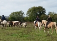 Cutting avec Hank Moss  Freedom Ranch aux Ecuries de la Gare Normandie