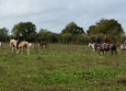 Cutting avec Hank Moss  Freedom Ranch aux Ecuries de la Gare Normandie