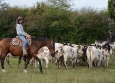 Cutting avec Hank Moss  Freedom Ranch aux Ecuries de la Gare Normandie