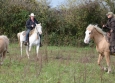 Cutting avec Hank Moss  Freedom Ranch aux Ecuries de la Gare Normandie