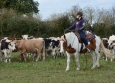 Cutting avec Hank Moss  Freedom Ranch aux Ecuries de la Gare Normandie