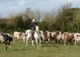 Cutting avec Hank Moss  Freedom Ranch aux Ecuries de la Gare Normandie