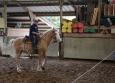 Cutting avec Hank Moss  Freedom Ranch aux Ecuries de la Gare Normandie