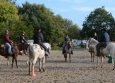 Vacances Equitation Western Freedom Ranch aux Ecuries de la Gare Normandie