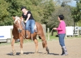 Vacances Equitation Western Freedom Ranch aux Ecuries de la Gare Normandie