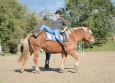 Vacances Equitation Western Freedom Ranch aux Ecuries de la Gare Normandie