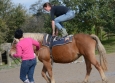 Vacances Equitation Western Freedom Ranch aux Ecuries de la Gare Normandie