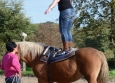 Vacances Equitation Western Freedom Ranch aux Ecuries de la Gare Normandie