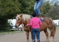 Vacances Equitation Western Freedom Ranch aux Ecuries de la Gare Normandie