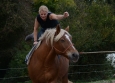 Vacances Equitation Western Freedom Ranch aux Ecuries de la Gare Normandie