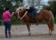 Vacances Equitation Western Freedom Ranch aux Ecuries de la Gare Normandie