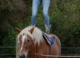 Vacances Equitation Western Freedom Ranch aux Ecuries de la Gare Normandie