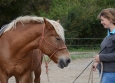 Vacances Equitation Western Freedom Ranch aux Ecuries de la Gare Normandie