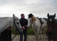 Aux Ecuries la sécurité même pour les chevaux!!