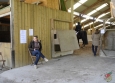 benevoles-dressage-2