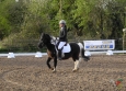 dressage-1