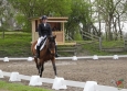 dressage-11