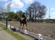 dressage-12