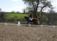 dressage-15