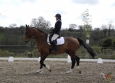 dressage-18