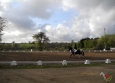 dressage-2