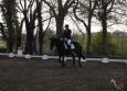 dressage-3