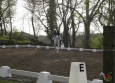 dressage-4