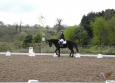 dressage-5