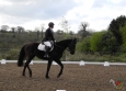 dressage-6