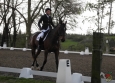 dressage-8