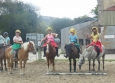 Pony Games aux Ecuries de la Gare Normandie